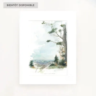 Reproduction Panorama de Fontainebleau